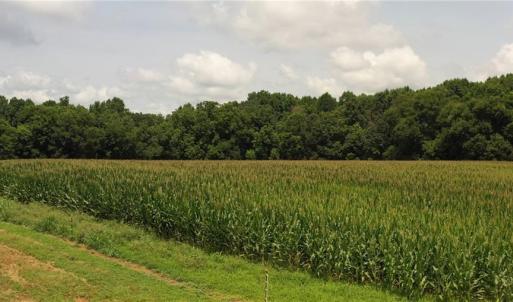 Photo #10 of 3037 Deep River Church, Ramseur, NC 34.5 acres