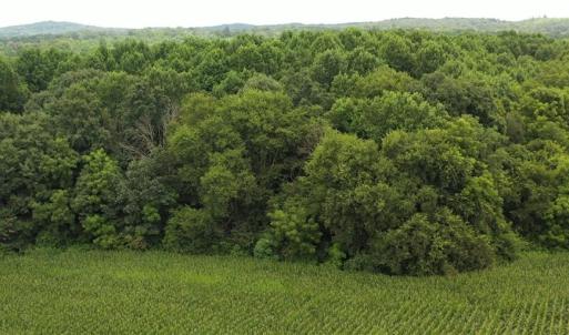Photo #14 of 3037 Deep River Church, Ramseur, NC 34.5 acres