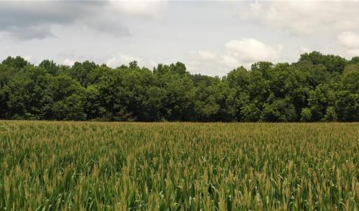Photo #11 of 3037 Deep River Church, Ramseur, NC 34.5 acres