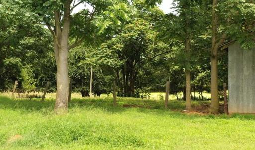 Photo #29 of 3037 Deep River Church, Ramseur, NC 34.5 acres