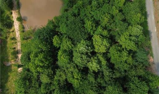 Photo #4 of *87*, Reidsville, NC 5.0 acres