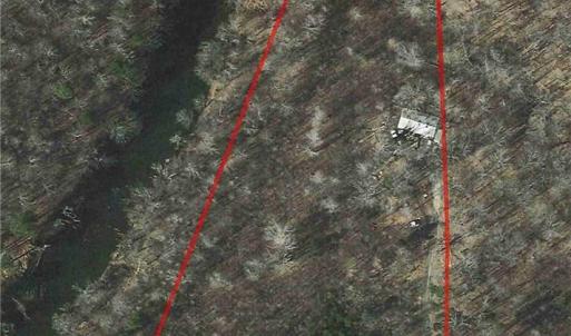 Photo #1 of 4607 Randleman Lake, Randleman, NC 5.2 acres