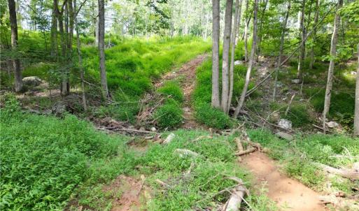 Photo #27 of NC Highway 49, Denton, NC 74.0 acres