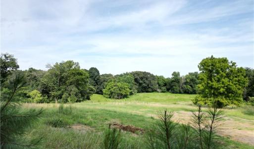 Photo #2 of NC Highway 49, Denton, NC 74.0 acres