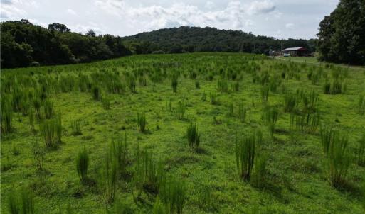 Photo #12 of NC Highway 49, Denton, NC 74.0 acres