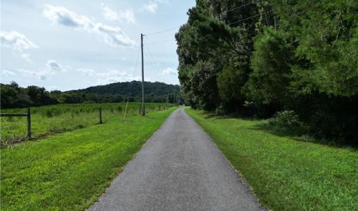 Photo #7 of NC Highway 49, Denton, NC 74.0 acres