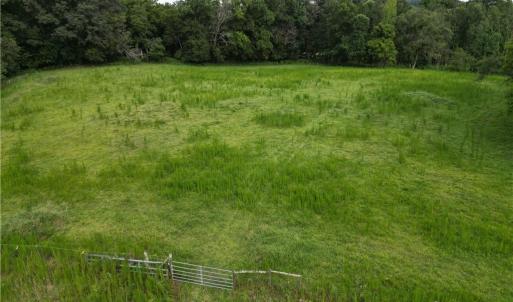 Photo #3 of NC Highway 49, Denton, NC 74.0 acres