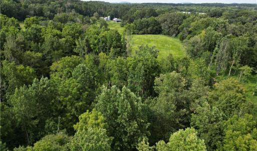 Photo #20 of NC Highway 49, Denton, NC 74.0 acres