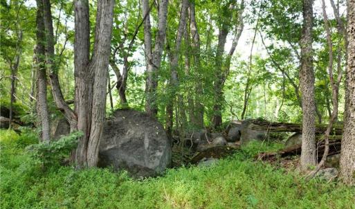Photo #30 of NC Highway 49, Denton, NC 74.0 acres
