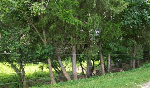 Photo #15 of NC Highway 49, Denton, NC 74.0 acres