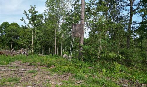 Photo #35 of NC Highway 49, Denton, NC 74.0 acres