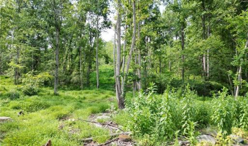 Photo #29 of NC Highway 49, Denton, NC 74.0 acres