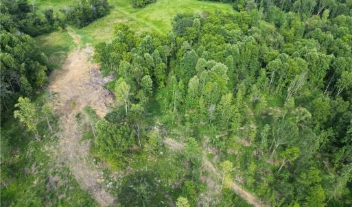 Photo #21 of NC Highway 49, Denton, NC 74.0 acres