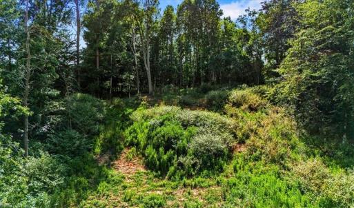 Photo #2 of 1911 Northbay, Browns Summit, NC 1.0 acres