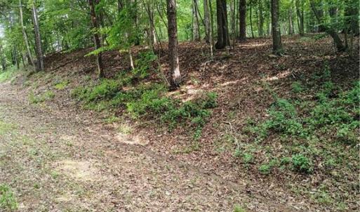 Photo #2 of Ararat, Ararat, VA 5.9 acres