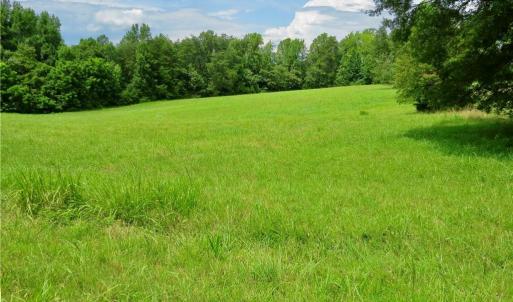 Photo #1 of Wolf Island, Reidsville, NC 34.7 acres