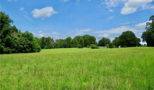 Photo #9 of Wolf Island, Reidsville, NC 34.7 acres