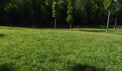 Photo #23 of Lowe, Madison, NC 9.6 acres