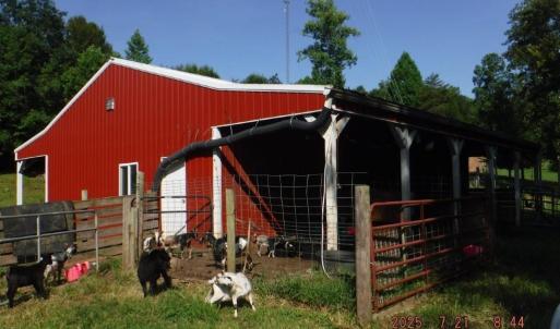 Photo #27 of Lowe, Madison, NC 9.6 acres