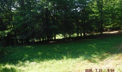 Photo #42 of Lowe, Madison, NC 9.6 acres
