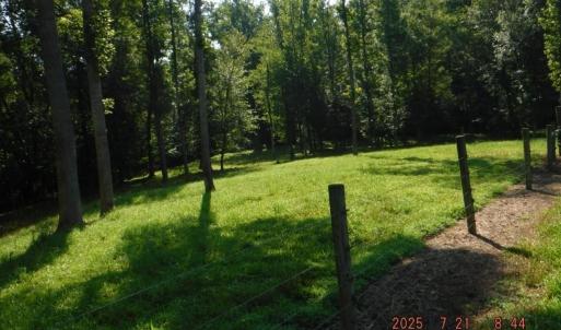 Photo #43 of Lowe, Madison, NC 9.6 acres