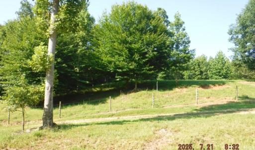 Photo #28 of Lowe, Madison, NC 9.6 acres
