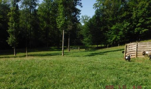 Photo #24 of Lowe, Madison, NC 9.6 acres