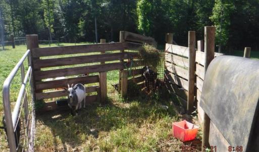 Photo #38 of Lowe, Madison, NC 9.6 acres