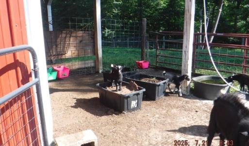 Photo #37 of Lowe, Madison, NC 9.6 acres