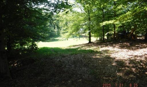 Photo #39 of Lowe, Madison, NC 9.6 acres