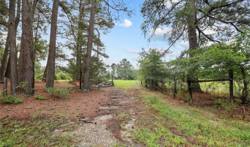 Photo #1 of Carthage, Bennett, NC 45.1 acres