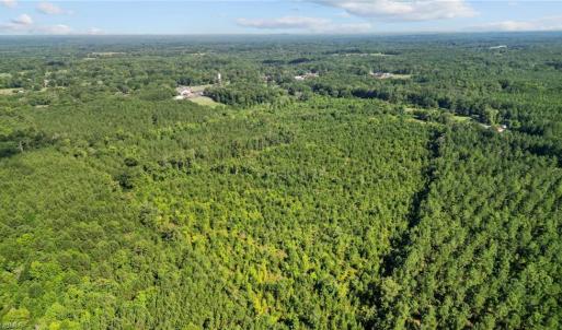 Photo #8 of Carthage, Bennett, NC 45.1 acres