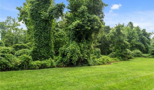 Some mature trees
