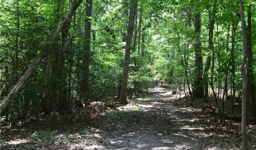 Photo #39 of 1344-1540 NC Highway 89, Danbury, NC 90.0 acres