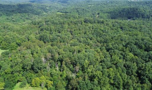 Photo #2 of 1344-1540 NC Highway 89, Danbury, NC 90.0 acres