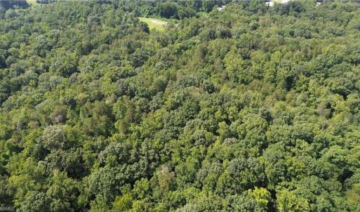 Photo #6 of 1344-1540 NC Highway 89, Danbury, NC 90.0 acres