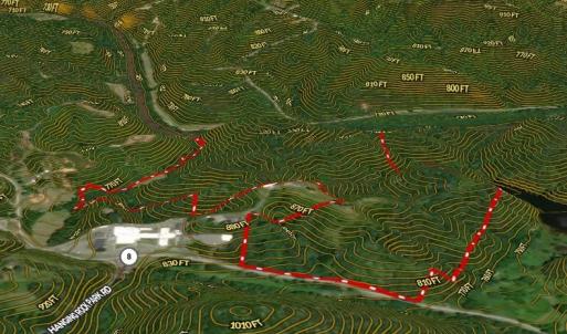 Photo #43 of 1344-1540 NC Highway 89, Danbury, NC 90.0 acres