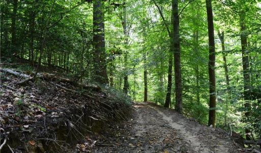 Photo #22 of 1344-1540 NC Highway 89, Danbury, NC 90.0 acres