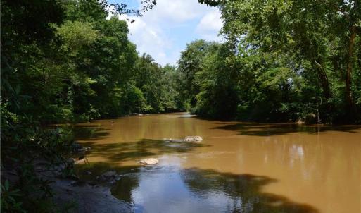 Photo #32 of 1344-1540 NC Highway 89, Danbury, NC 90.0 acres