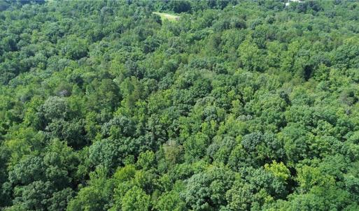 Photo #5 of 1344-1540 NC Highway 89, Danbury, NC 90.0 acres