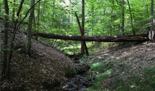 Photo #20 of 1344-1540 NC Highway 89, Danbury, NC 90.0 acres