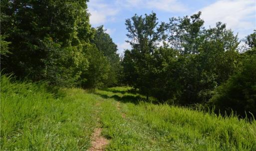 Photo #9 of 1344-1540 NC Highway 89, Danbury, NC 90.0 acres