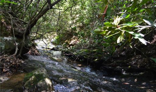 Photo #30 of 1344-1540 NC Highway 89, Danbury, NC 90.0 acres