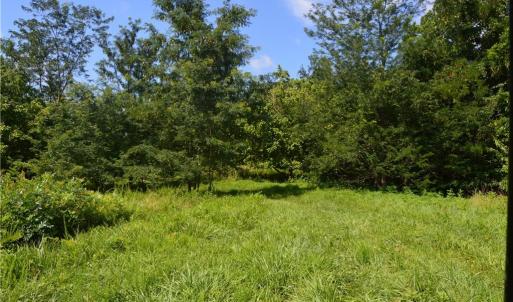 Photo #10 of 1344-1540 NC Highway 89, Danbury, NC 90.0 acres