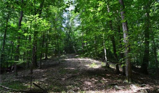 Photo #18 of 1344-1540 NC Highway 89, Danbury, NC 90.0 acres