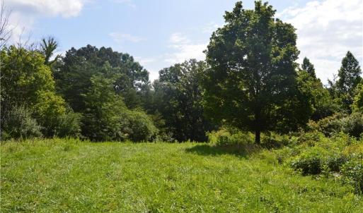 Photo #11 of 1344-1540 NC Highway 89, Danbury, NC 90.0 acres