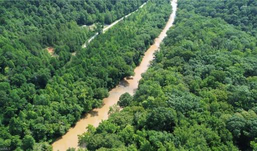 Photo #4 of 1344-1540 NC Highway 89, Danbury, NC 90.0 acres