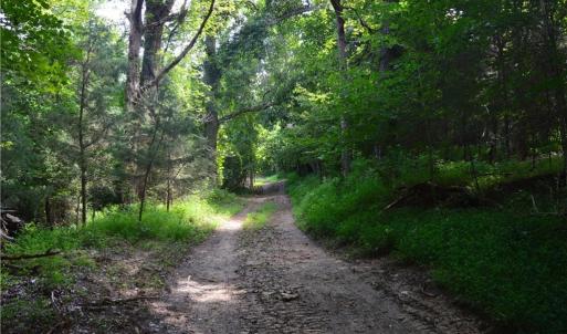 Photo #8 of 1344-1540 NC Highway 89, Danbury, NC 90.0 acres