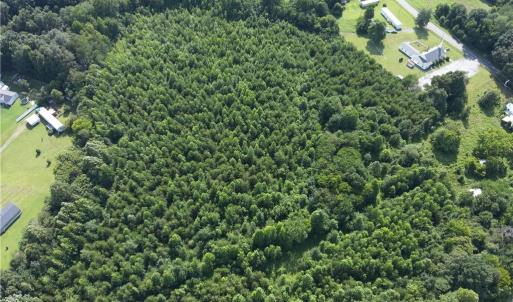Photo #6 of 1731 Sandy Cross, Reidsville, NC 44.2 acres