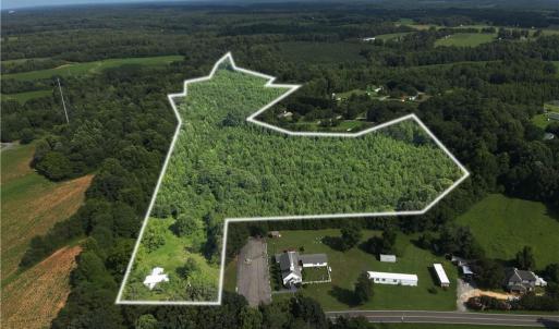 Photo #3 of 1731 Sandy Cross, Reidsville, NC 44.2 acres